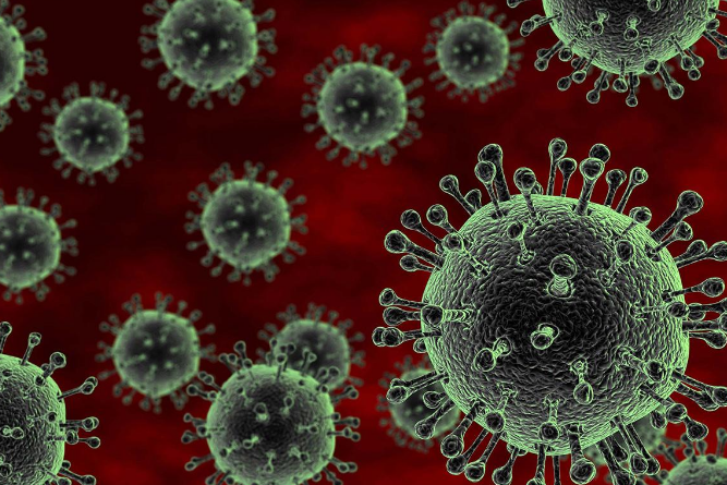 世界破壞力最強的十大病毒 伊波拉位列第一，天花上榜