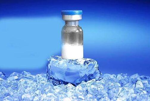 凍乾粉和玻尿酸的區別是什麼