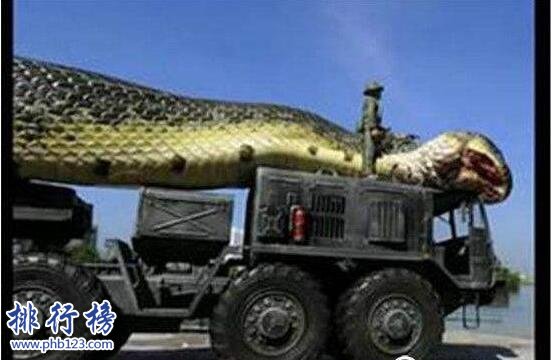 世界上最長的蛇是什麼蛇，紅海巨蛇長達500米