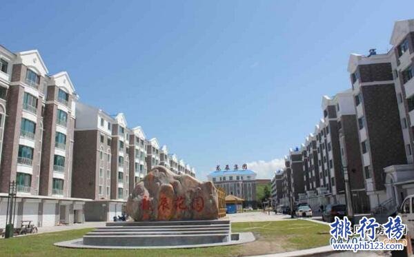 2017內蒙古呼倫貝爾房地產公司排名，呼倫貝爾房地產開發商排名