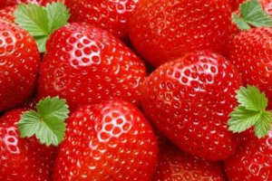 中國十大草莓品牌：白雪公主草莓口感最好，第九最甜