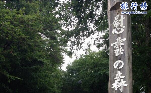 日本最恐怖的地方排名 富士山自殺森林屍體比樹還多