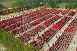 河南十大武校排行榜：中華武術學校上榜，第六已有53年歷史