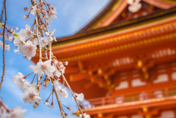 日本京都必去十大景點排名