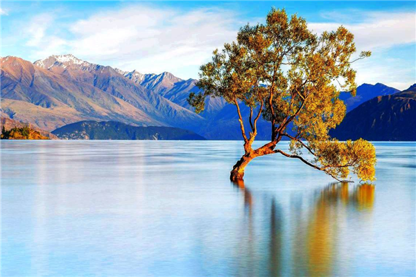 紐西蘭旅遊必去的景點排名