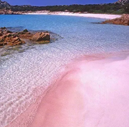 粉色沙灘