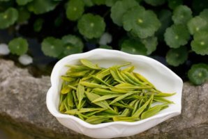 綠茶十大知名品種，六安瓜片上榜，第三被譽為綠茶之王