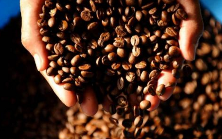 世界十大咖啡排名：世界十大最貴最好喝的咖啡在這裡！