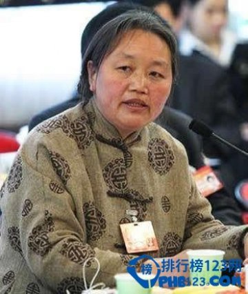 胡潤西藏富豪排行榜2015名單