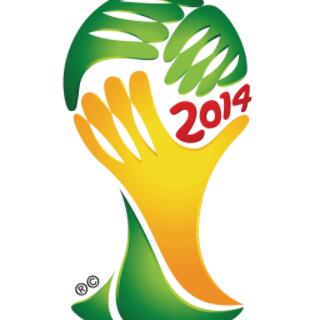 2014年世界盃季軍：荷蘭