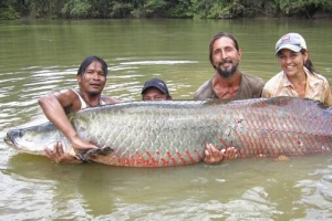 世界上最大的淡水魚，巨型黃貂魚重達0.36噸（八個壯士才能抬起）