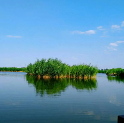 鳴翠湖國家濕地公園