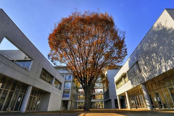 日本十大名校 東北大學上榜，日本第一所國立學校榮登首榜
