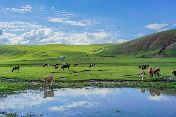 內蒙古七月份旅遊最佳地方排名