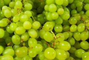 新疆十大知名葡萄品種，木納格葡萄上榜，第一又被稱為無籽露