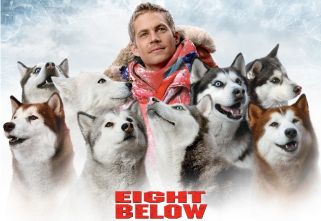 詳細介紹：這部電影的主角聚集在八條雪橇犬身上，講述了在冰天雪地的南極，雪橇犬不畏殘酷的大自然，克服種種考驗，最終與主人重逢。