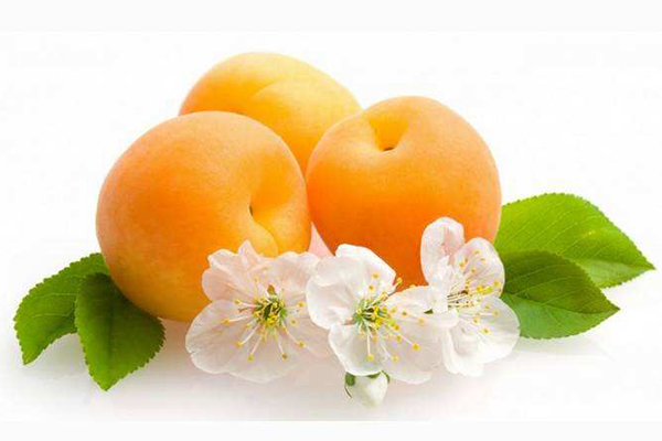 孕婦可以吃杏嗎