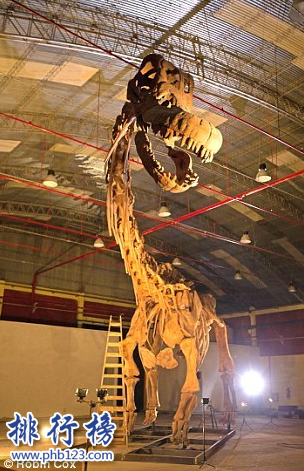 世界上最大的恐龍化石：泰坦巨龍身長40米重77噸(相當於14頭大象)