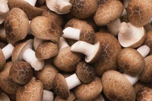 最好吃的十種蘑菇 金針菇上榜，第六口感和鮑魚相似