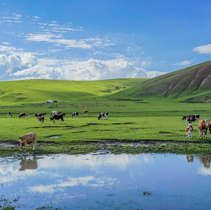 內蒙古親子游景點排名前十