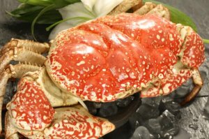 全球十大螃蟹品種，帝王蟹上榜，第六是日本三大名蟹之一