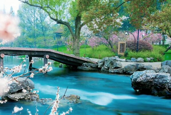 杭州有櫻花小眾觀賞地點