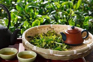 天貓茶品牌銷量排行榜前十，藝福堂交易指數下降10.60%，仍是第一