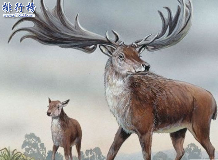 世界十大奇蹟動物:愛爾蘭大鹿死而復生
