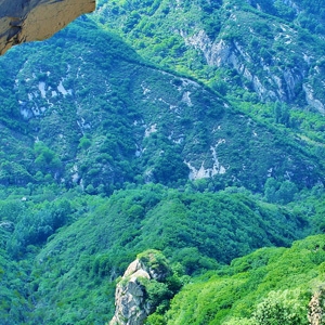 青菁頂自然風景區