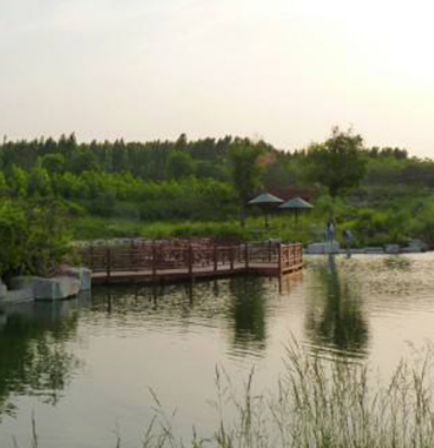 昌樂桂河濕地公園