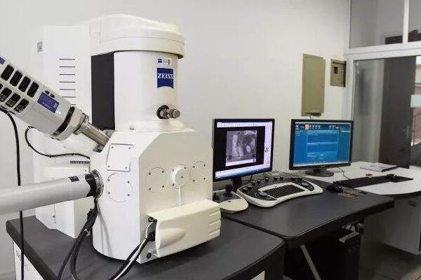 什麼是掃描電子顯微鏡