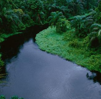 剛果河