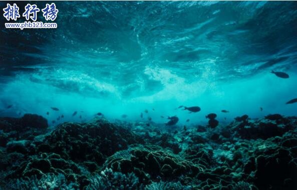 深海恐懼症是什麼 面對大海無法克制的懼怕(附深海恐懼症測試圖)