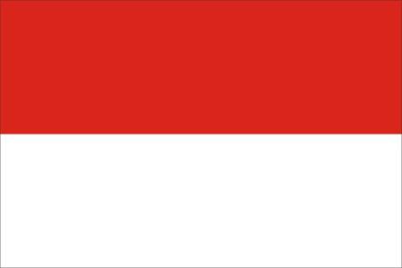 【印尼人口2022總人數】印尼人口數量2022|印度尼西亞人口世界排名