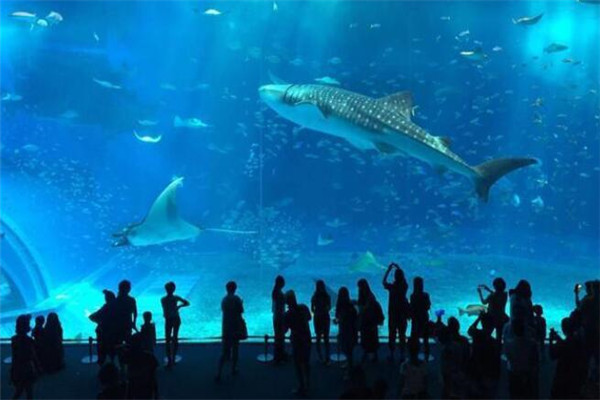 世界十大最好玩的地方 普吉島上榜,澳大利亞大堡礁一定要去