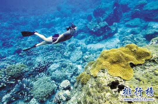 全球潛水最好的地方有哪些?全球十大潛水度假勝地
