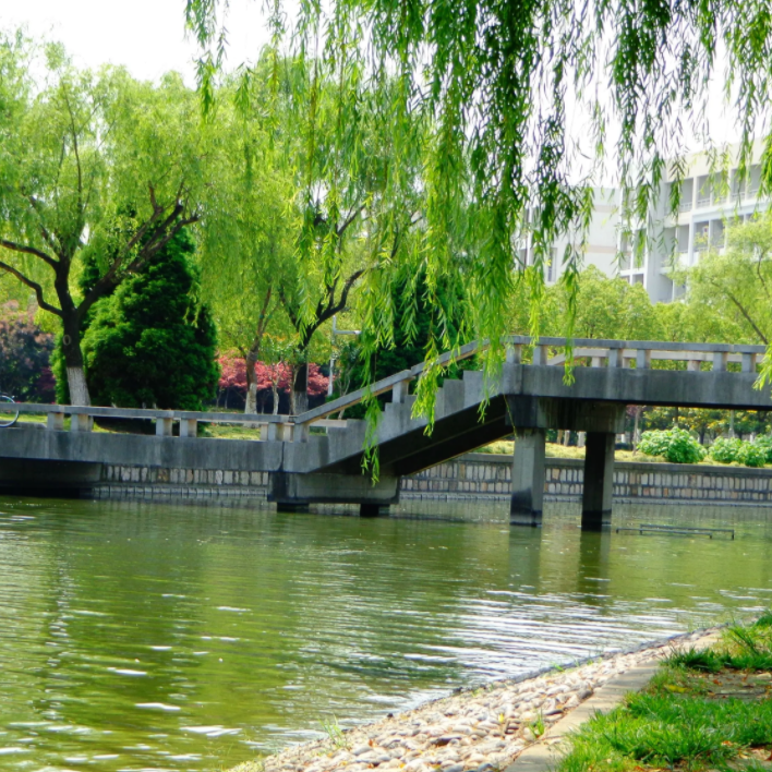 上海最美大學校園風景排名