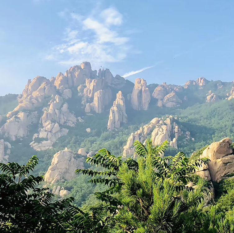 中國十大國家級森林公園排行榜