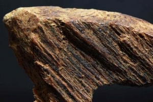 世界上最貴的木頭：奇楠木(每克2000-15000人民幣)