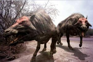 上古時期最兇猛的動物：巨豬，利齒可咬碎獵物骨頭(體型如同野牛)