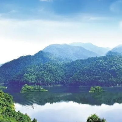 廣東新豐魯古河國家濕地公園