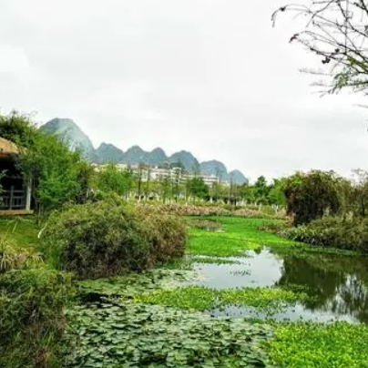 靖西龍潭國家濕地公園