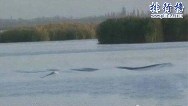 新疆喀納斯湖水怪之謎真相大白,疑似15米32噸的巨型哲羅鮭(視頻)