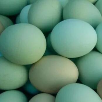 都勻綠殼雞蛋