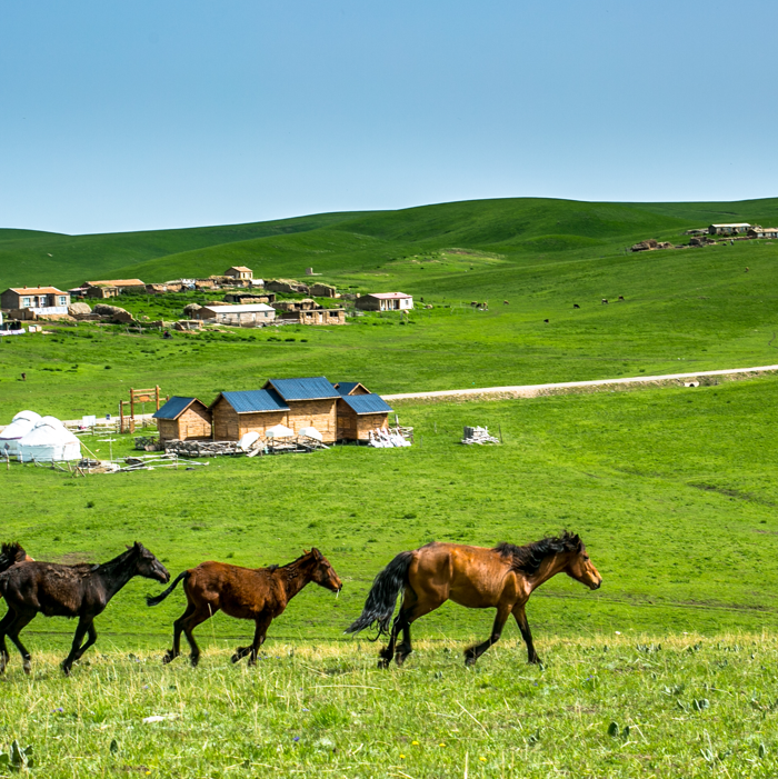 內蒙古十大度假村排名
