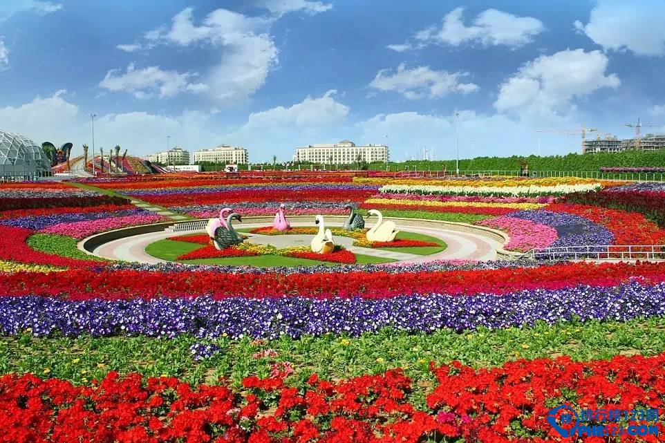 世界最大花園
