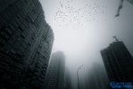 2016霧霾城市排行榜,中國霧霾城市排名及分布圖