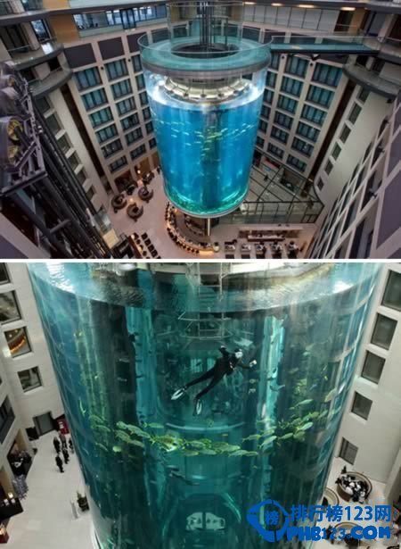 全球最另類的電梯 水族館電梯可以這樣玩