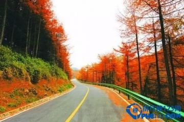 重慶最美公路在哪裡？重慶最美的十條公路