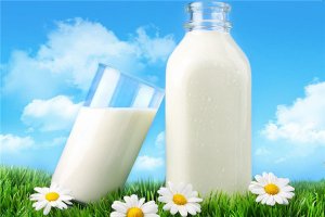 鮮奶吧加盟店10大品牌：與芳鮮奶上榜，一朵奶牛第一